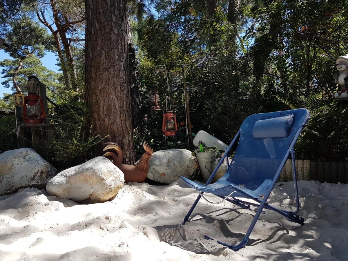 CasitaCuriosa  chalet op camping met buitenzwembad Balen Esterno foto